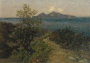 Julius Ludwig Friedrich Runge Sudliche Kustenlandschaft. Blick von der Hohe auf Insel an einem Sonnentag oil painting